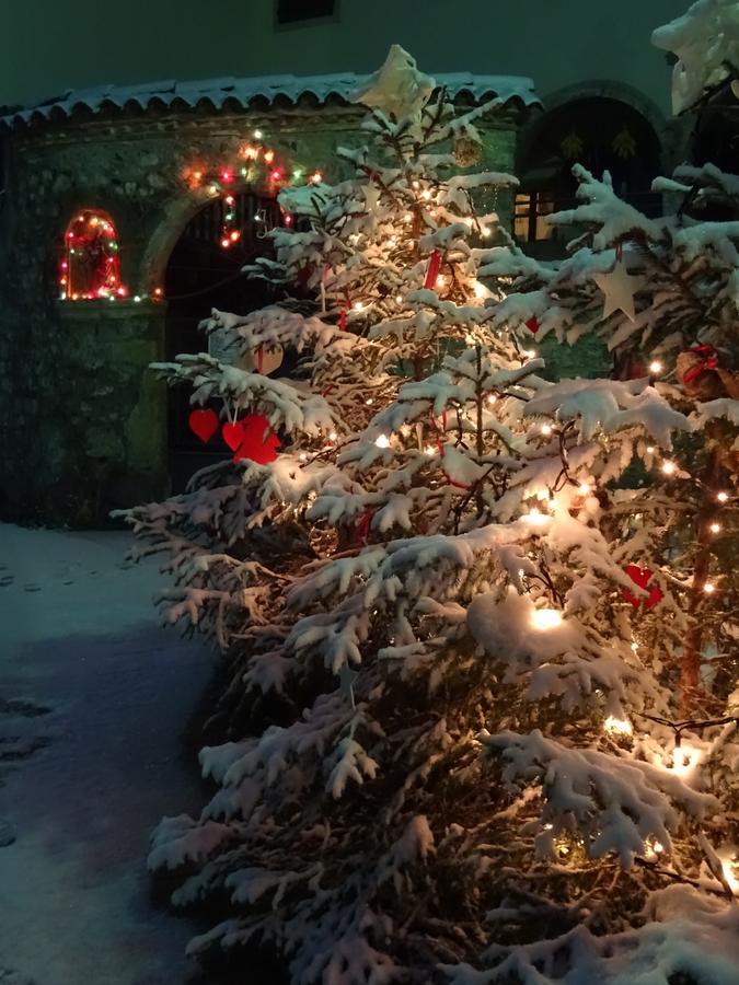 Bed and Breakfast Profum Di Bosc Арта-Терме Екстер'єр фото
